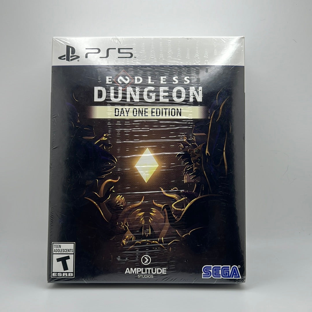 Endless Dungeon - Playstation 5